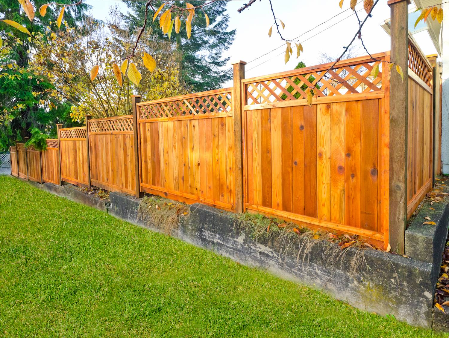 local fence repair & installation